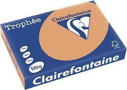 Trophee Χαρτί A4 80gr/m² 500 φύλλα