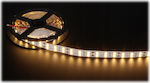 LED Strip Strip 50m