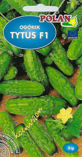 Ground Seeds Cucumber 3gr White