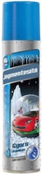 Idealstore De-Icing Spray 300ml Capacity Hinges Windshields