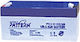 Pattern UPS Battery with Capacity 7Ah and Voltage 6V 30251-002 1pcs