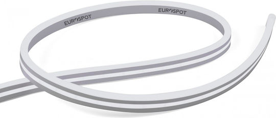Eurospot Rezistent la apă Bandă LED 24V 5m Neon Flex