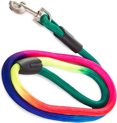 Dog Leash Lead Strap