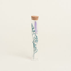 Γυαλινος Σωληνας Κλαδια 3 X 18 Cm Beauty Home