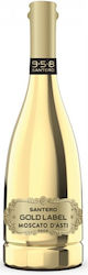Santero Λευκό Ξηρό D' Asti 750ml Santero Λευκό Ξηρό D' Asti 750ml