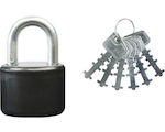 Lock Cylinder with 6 Keys