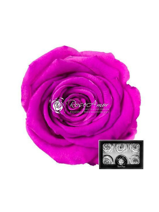 Παντοτινό Τριαντάφυλλο 6τμχ Fankon Flowers