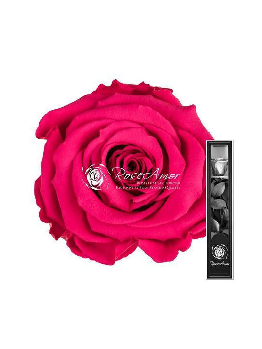 Παντοτινό Τριαντάφυλλο Ροζ 30cm Fankon Flowers