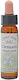 Crystal Herbs Clematis Ανθοΐαμα 10ml