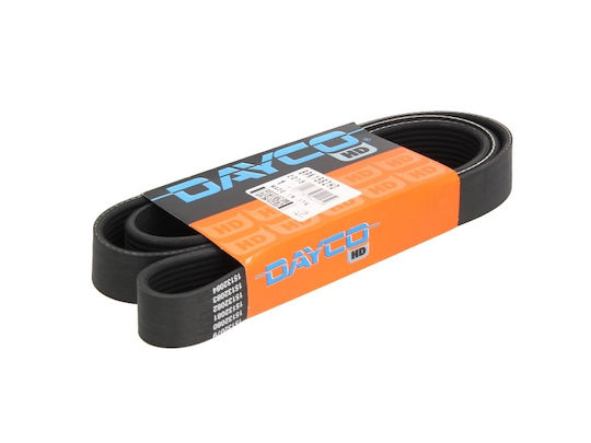 Dayco Multi-v-Gürtel 8pk1582 Getriebe Gürtel Rillen Länge 1582,0 Mm 8 Rillen Man Lion's City Scania 4 D0836loh41