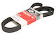 Gates Grooved Transmission Belt