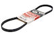 Curea Transmisie Multi-v Gates 4pk895 Bmw Lungime 895 0 Mm Lățime 14 2 Mm Număr de Canale 4 0 Neagră