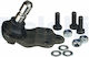 Delphi Load Guide Joint Right Left Lower Front Axle Alfa Romeo Giulietta 1.4-2.0d 04.10-12.20