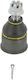 Moog Pivot Rechts Links Untere Vorderachse Durchmesser Cone 16mm Honda Civic CR-V CRX Integra Prelude Mg Zs Rover 400 45