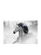 Mural Bedroom Horse Room Decoration Wallpaper 240x360