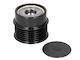 Pulley Alternator Skf