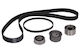 Skf Timing Belt Set