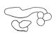 Oil Radiator Gasket Set Ajusa