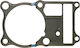 Cylinder Gasket Lower Athena