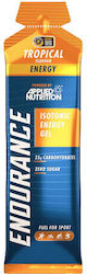 Applied Nutrition Velocity Fuel Energy Endurance Isotonic Gel 60ml Applied Nutrition Velocity Fuel Energy Endurance Isotonic Gel 60ml