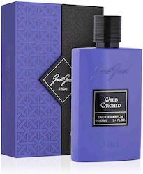 Just Jack Wild Orchid Eau de Parfum 100ml