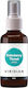 Viridian Eldelberry Throat Spray για Ξηρό Βήχα 50ml