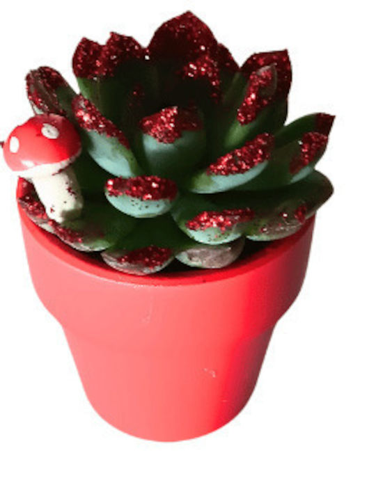 Succulent Red Christmas Shine