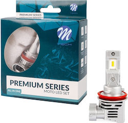 Premium Lampe H11 LED Kaltes Weiß Premium Lampe H11 LED Kaltes Weiß