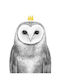 Детска Рамка Queen Owl с Бяла Рамка от Пластмаса 21x30бр