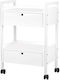 Giovanni Hair Salon Maintenance Cart