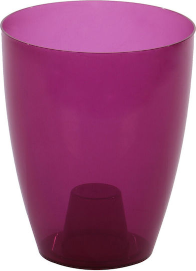 Ghiveci Plastic Transparent Amethyst