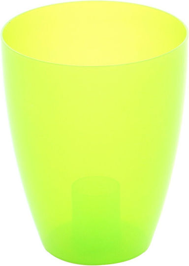Ghiveci Plastic