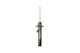 Bilstein Shock Absorber