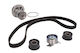 Water Pump Set + Ina Timing Belt