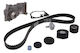Water Pump Set + Ina Timing Belt