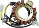 Ricks Motorsport Electric Πηνία Μοτοσυκλέτας 21-817