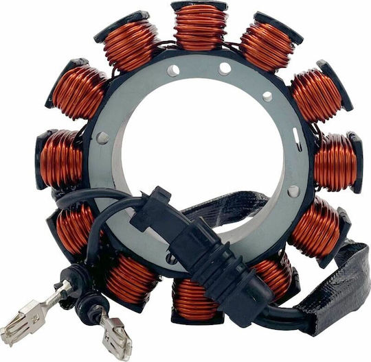 Ricks Motorsport Electric Spulen Motorrad 21-044