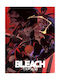 Poster Bleach An072 21cm X 30cm