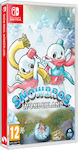 Snow Bros. Wonderland Switch Game