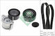 Ina Ribbed Belt Drive Set