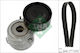 Ina Ribbed Belt Drive Set