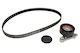 Ina Ribbed Belt Drive Set