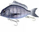 Little Jack Charikom Artificial Bait 5cm 3