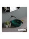 Scarabeo Countertop Sink Porcelain 39x39cm Musk Glossy