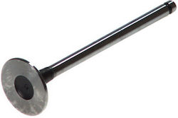 Freccia Intake Valve 28.5x6x101.6 Chevrolet Cruze Lacetti Nubira Daewoo Kalos 1.4/1.6 04.03 Chrome-silicon Steel