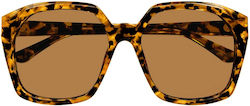 Chloe Sunglasses Brown with Acetate Frame & Brown Lens