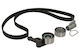Ina Timing Belt Set