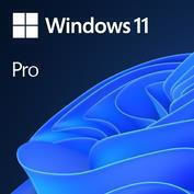 Microsoft 11 Pro 1 Lizenz