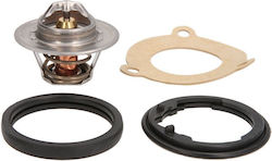 Thermostat Cooling Liquid Vernet