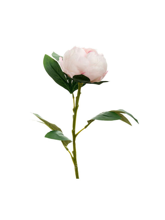Παιώνια Ροζ 66cm Iliadis